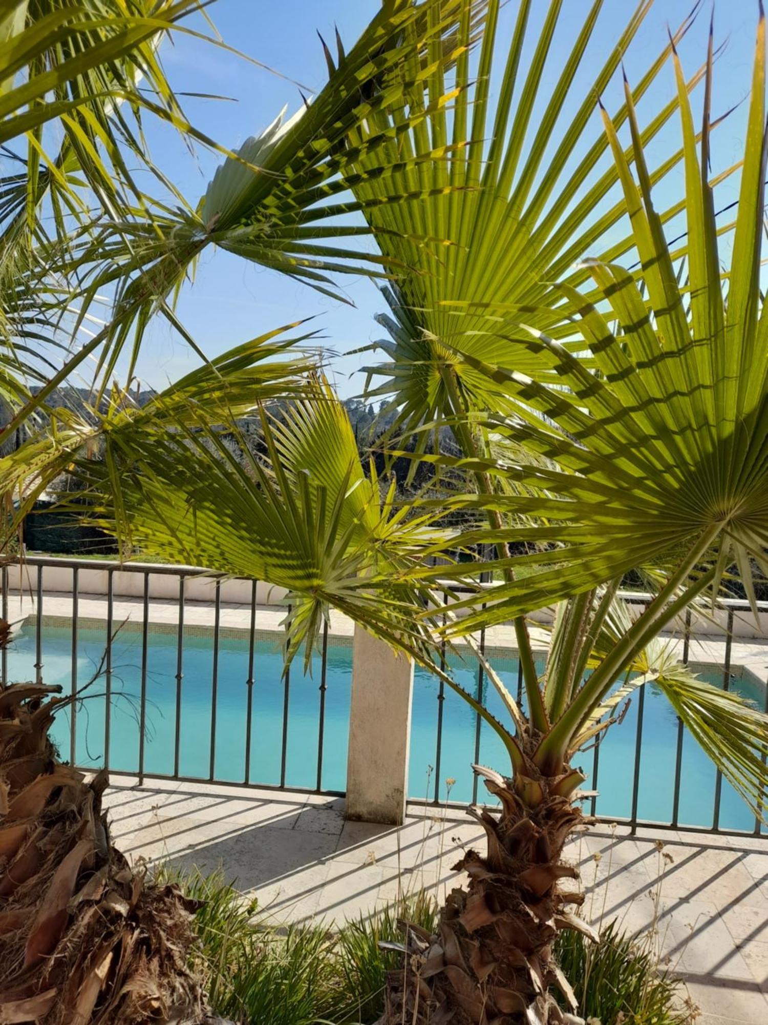 Villa Azur Лорґ Екстер'єр фото