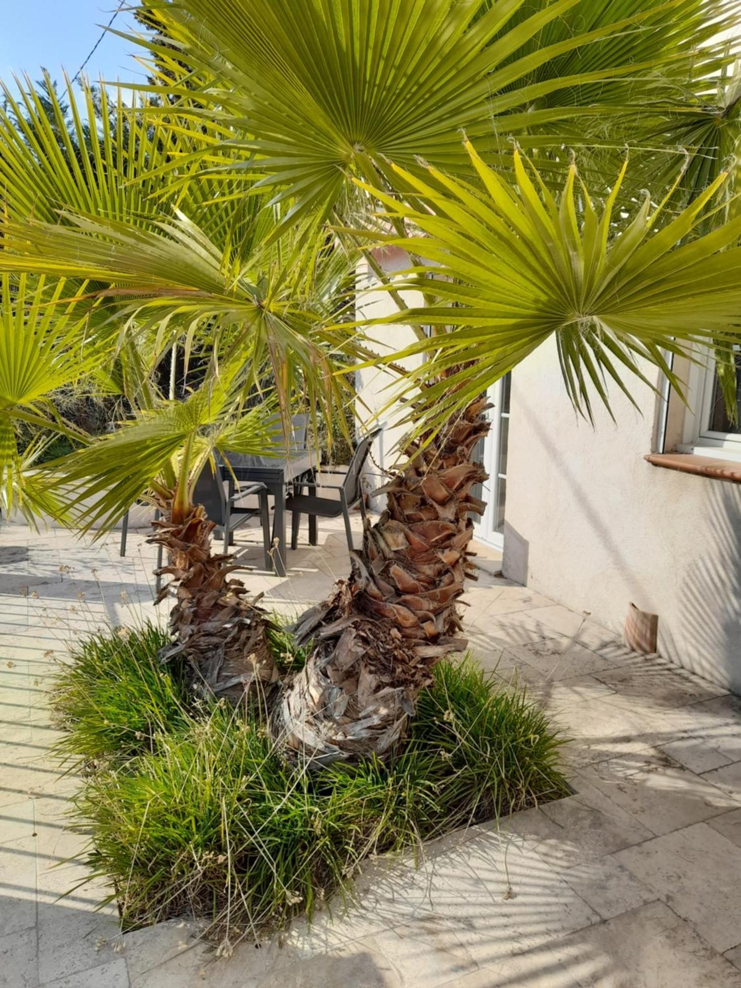 Villa Azur Лорґ Екстер'єр фото